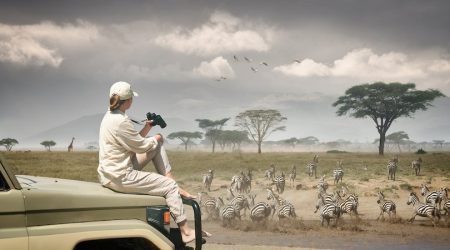Woman tourist on safari in Africa, traveling by car in Kenya and Tanzania, watching zebras and antelopes in the savannah.
Adventure and wildlife exploration in Africa. Serengeti National Park.